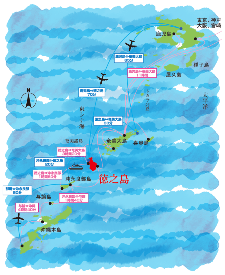 徳之島に行く 一般社団法人徳之島観光連盟